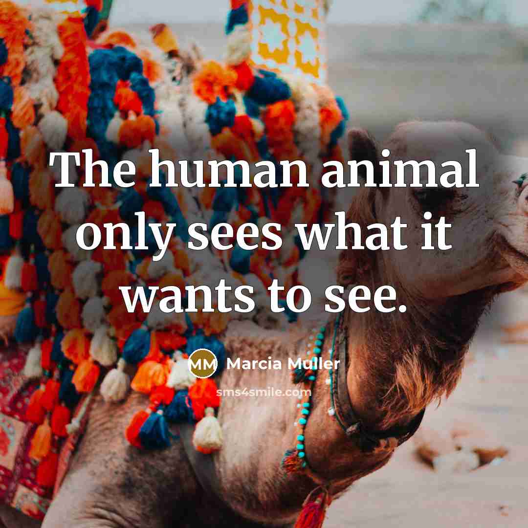 “The human animal only sees what it wants to see.…” quote by Marcia Muller