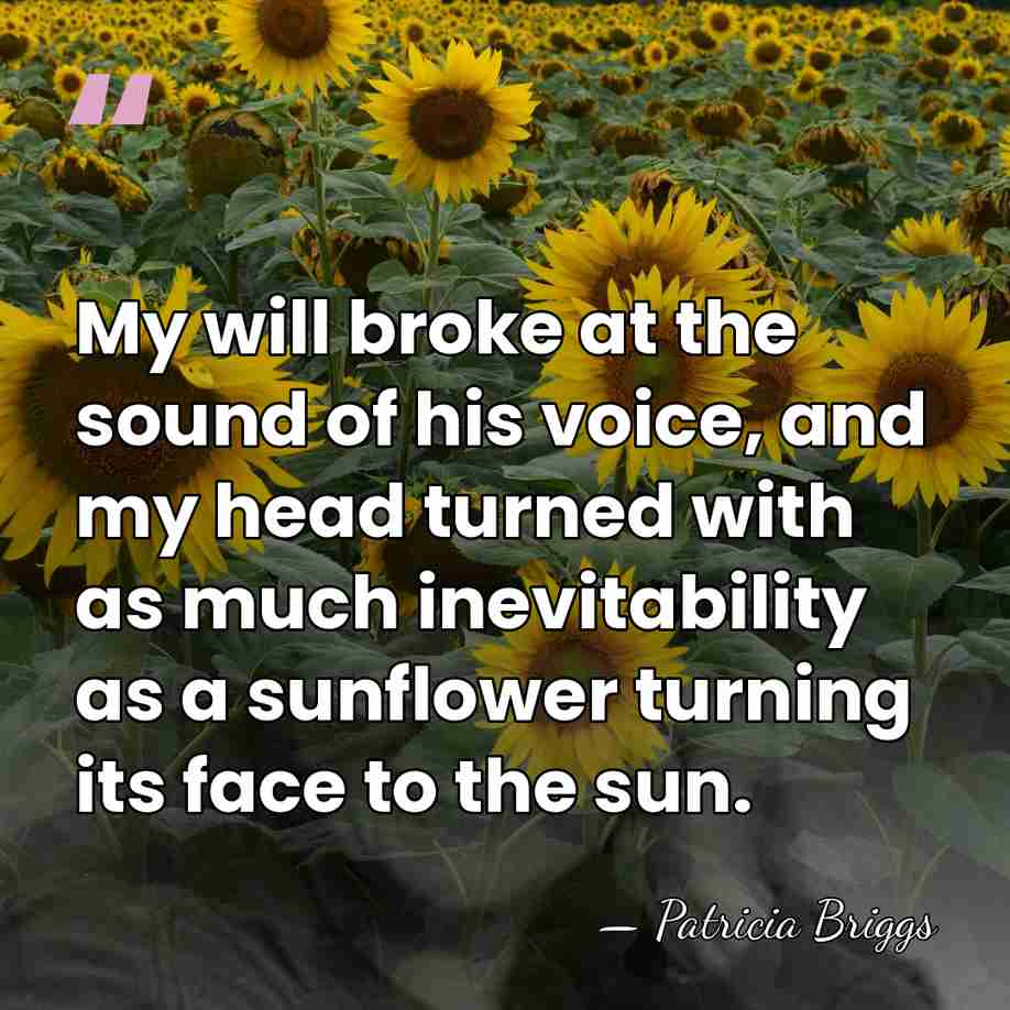 My will broke at the sound of his voice, and my head&hellip; - Patricia Briggs
