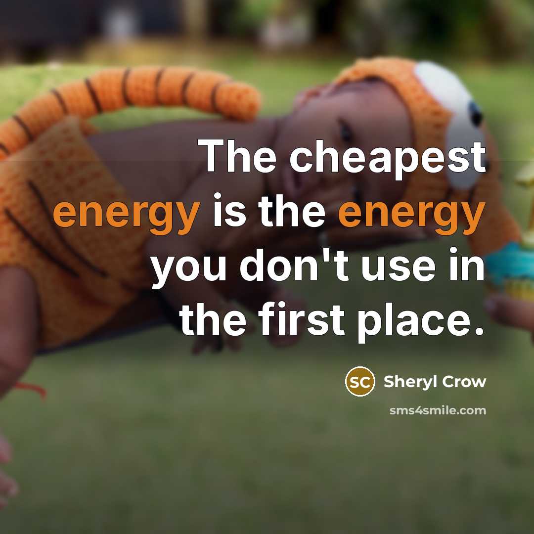 “The cheapest energy is the energy you don't use in the first place.” quote by Sheryl Crow