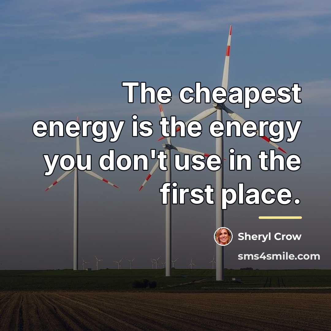 “The cheapest energy is the energy you don't use in…” quote by Sheryl Crow