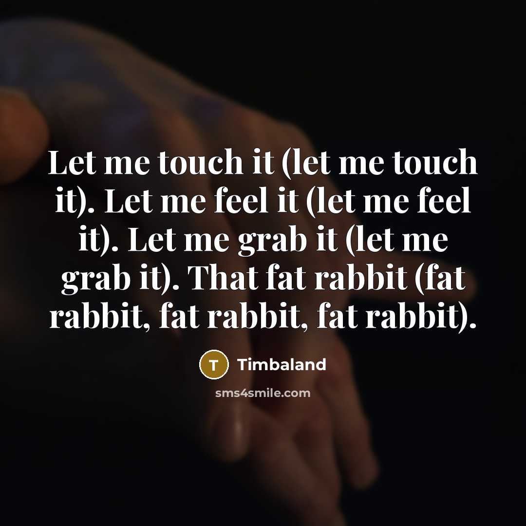 “Let me touch it (let me touch it). Let me…” quote by Timbaland