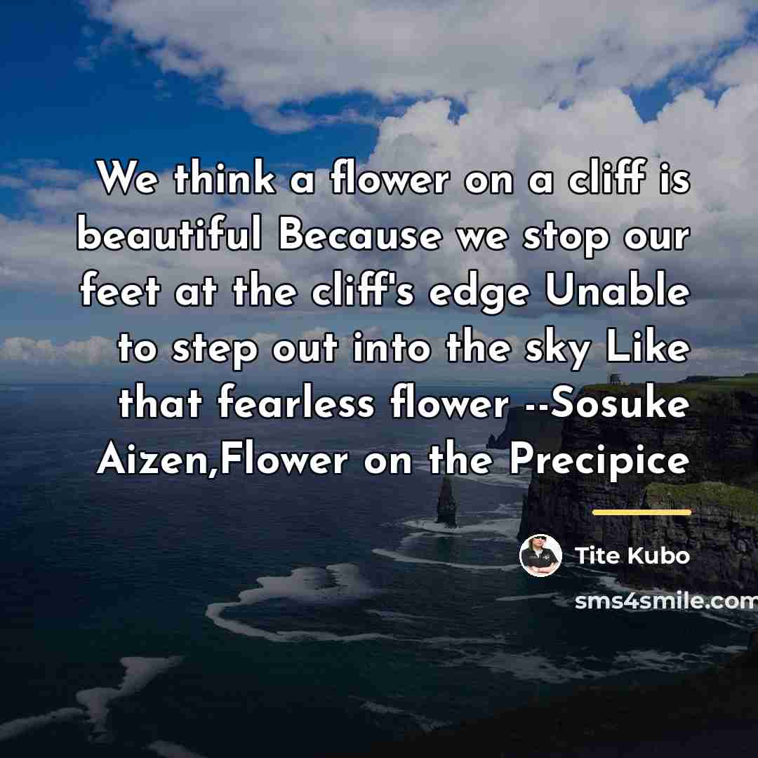 “We think a flower on a cliff is beautiful Because…” quote by Tite Kubo