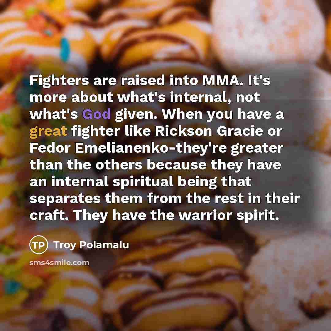 “Fighters are raised into MMA. It's more about what's internal,…” quote by Troy Polamalu