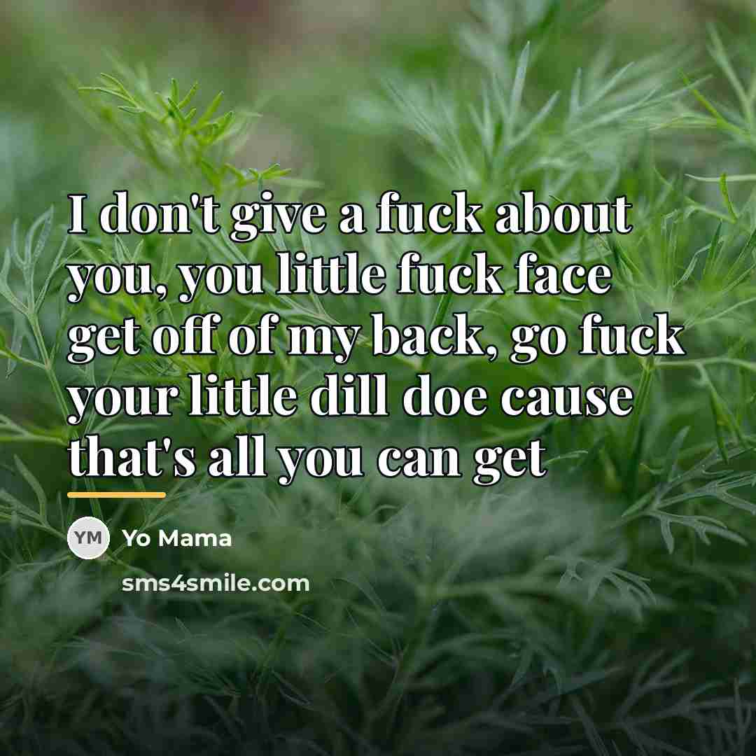 “I don't give a fuck about you, you little fuck…” quote by Yo Mama