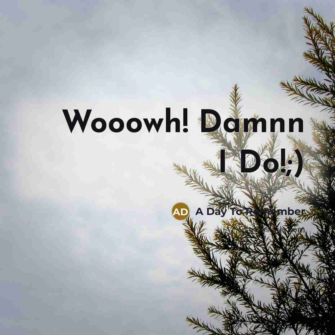 “Wooowh! Damnn I Do!;)” quote by A Day To Remember