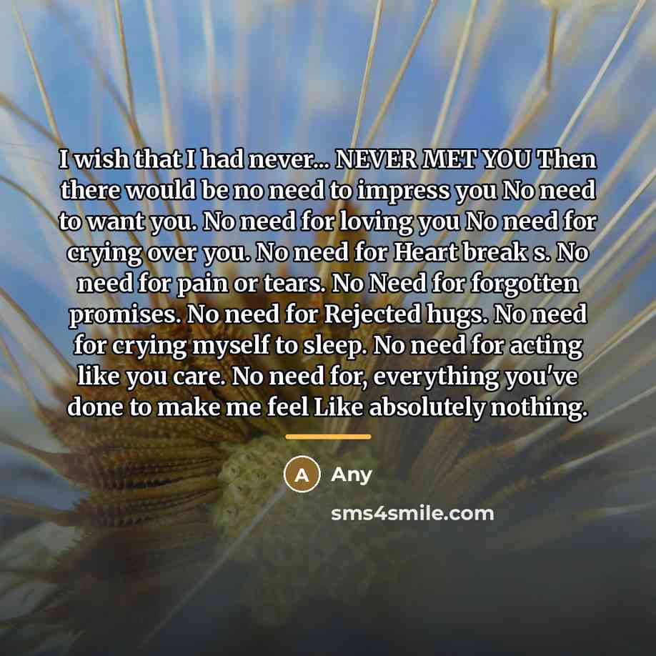 “I wish that I had never... NEVER MET YOU Then…” quote by Any