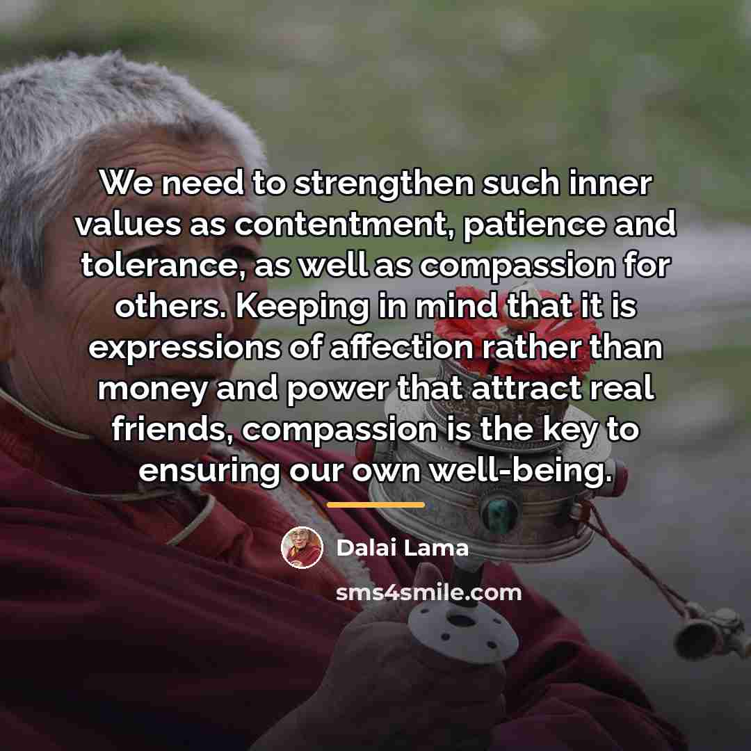 “We need to strengthen such inner values as contentment, patience…” quote by Dalai Lama