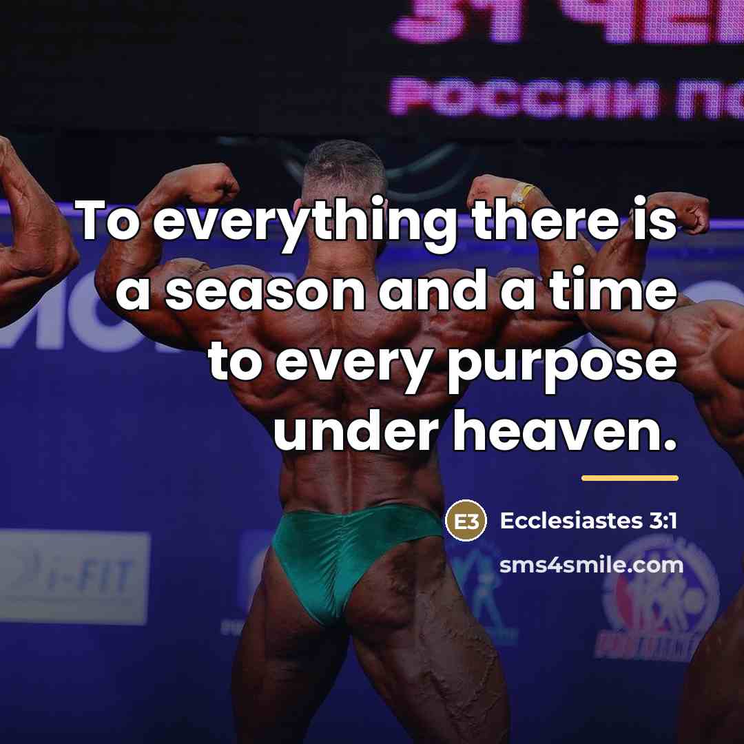“To everything there is a season and a time to…” quote by Ecclesiastes 3:1