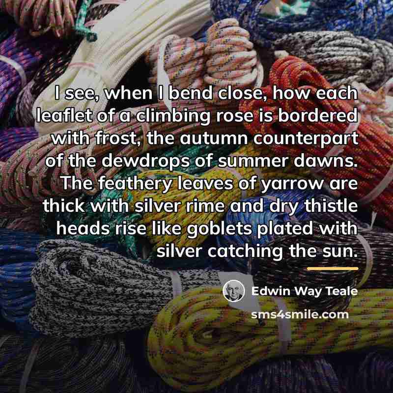 “I see, when I bend close, how each leaflet of…” quote by Edwin Way Teale