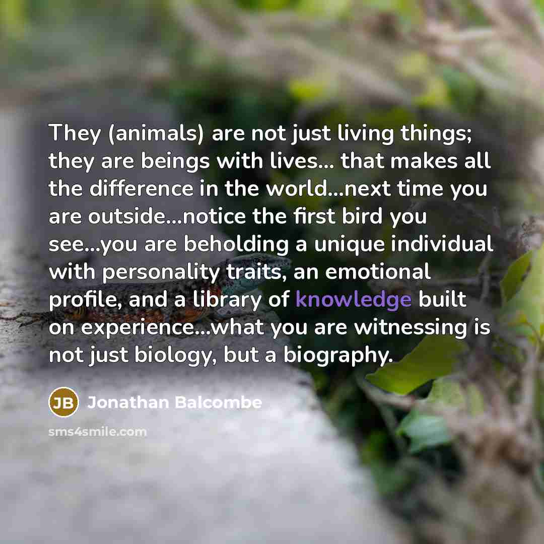 “They (animals) are not just living things; they are beings…” quote by Jonathan Balcombe