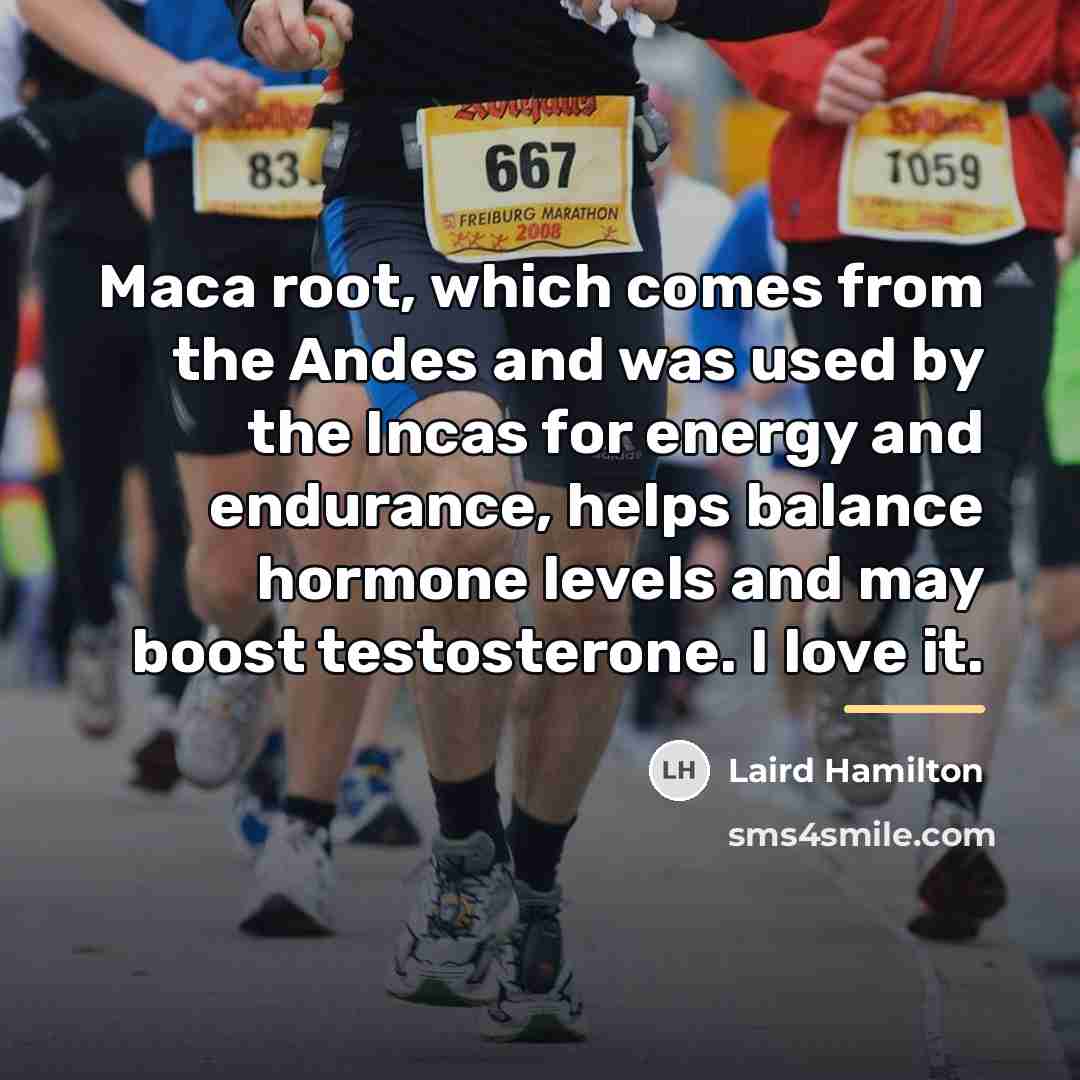 “Maca root, which comes from the Andes and was used…” quote by Laird Hamilton