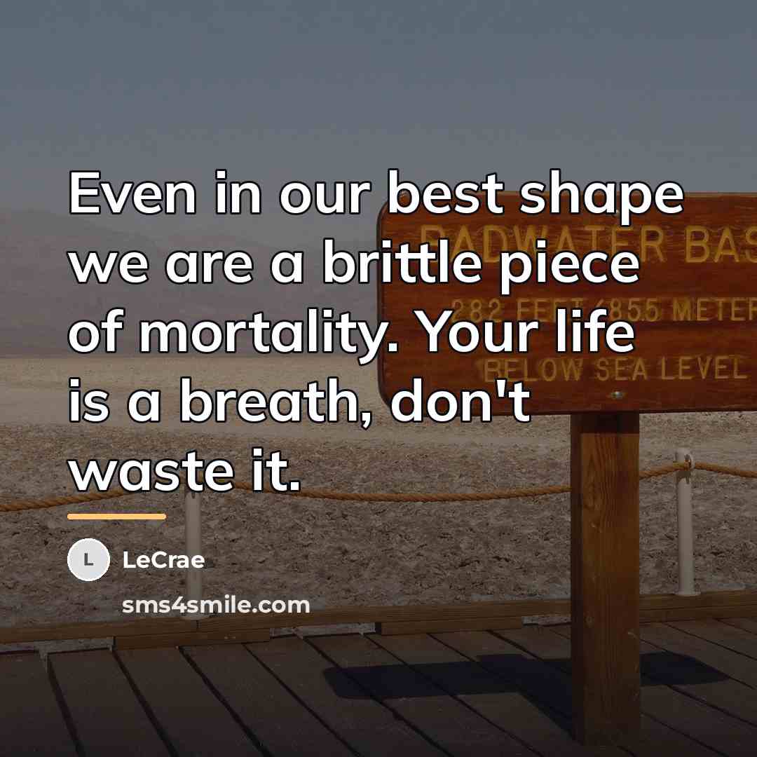 “Even in our best shape we are a brittle piece…” quote by LeCrae