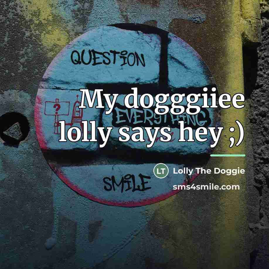 “My dogggiiee lolly says hey ;)…” quote by Lolly The Doggie