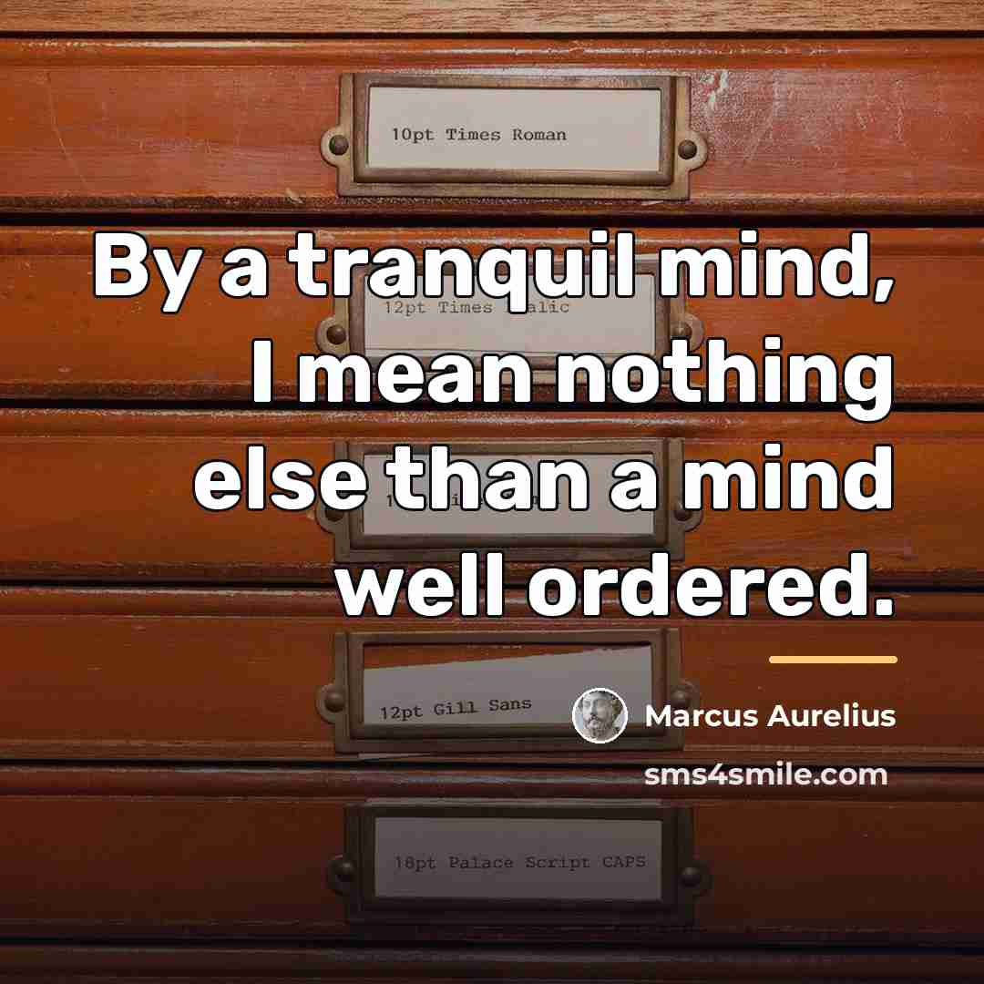 “By a tranquil mind, I mean nothing else than a…” quote by Marcus Aurelius