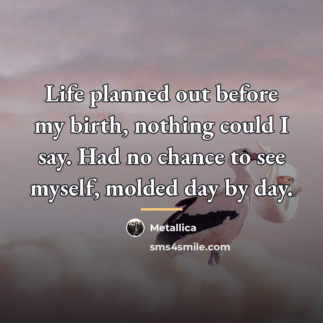 “Life planned out before my birth, nothing could I say.…” quote by Metallica