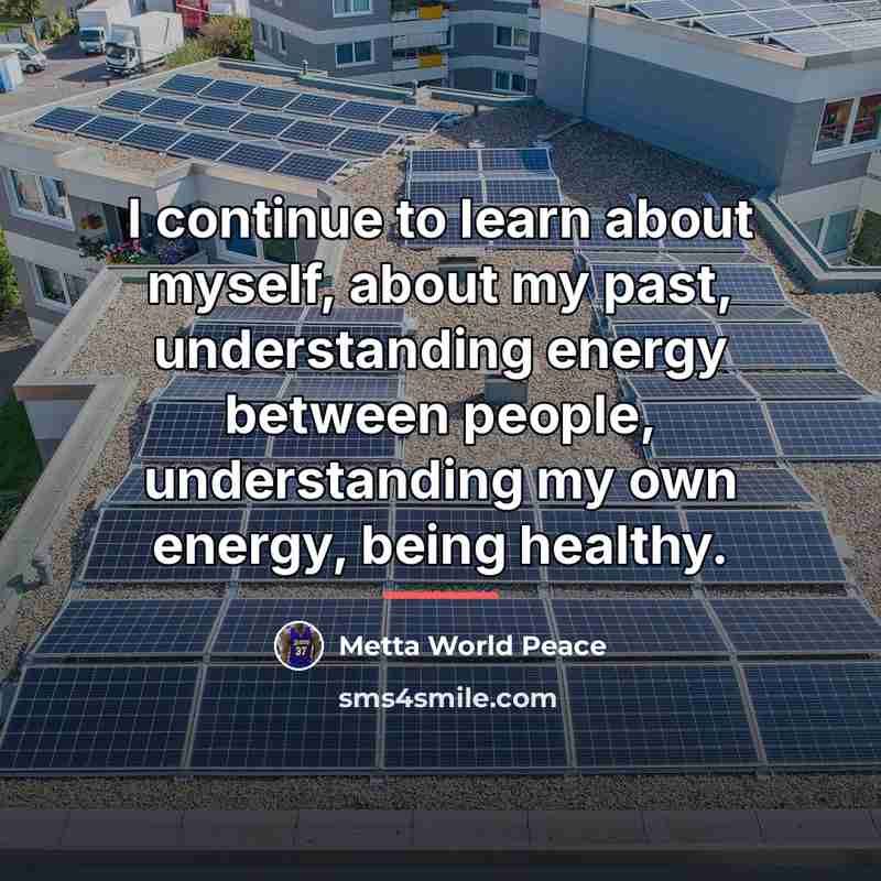 “I continue to learn about myself, about my past, understanding…” quote by Metta World Peace