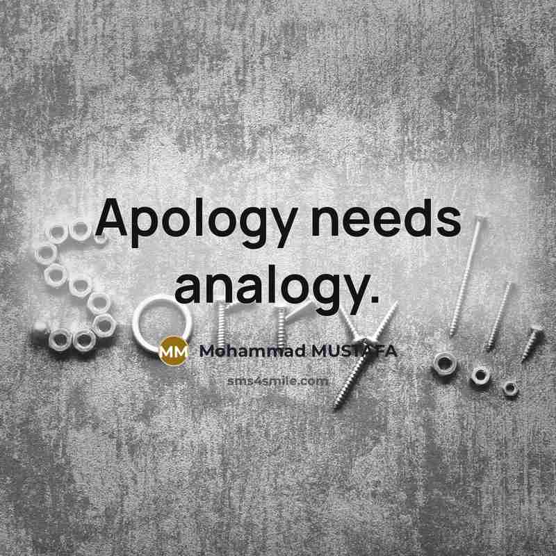 “Apology needs analogy.…” quote by Mohammad MUSTAFA