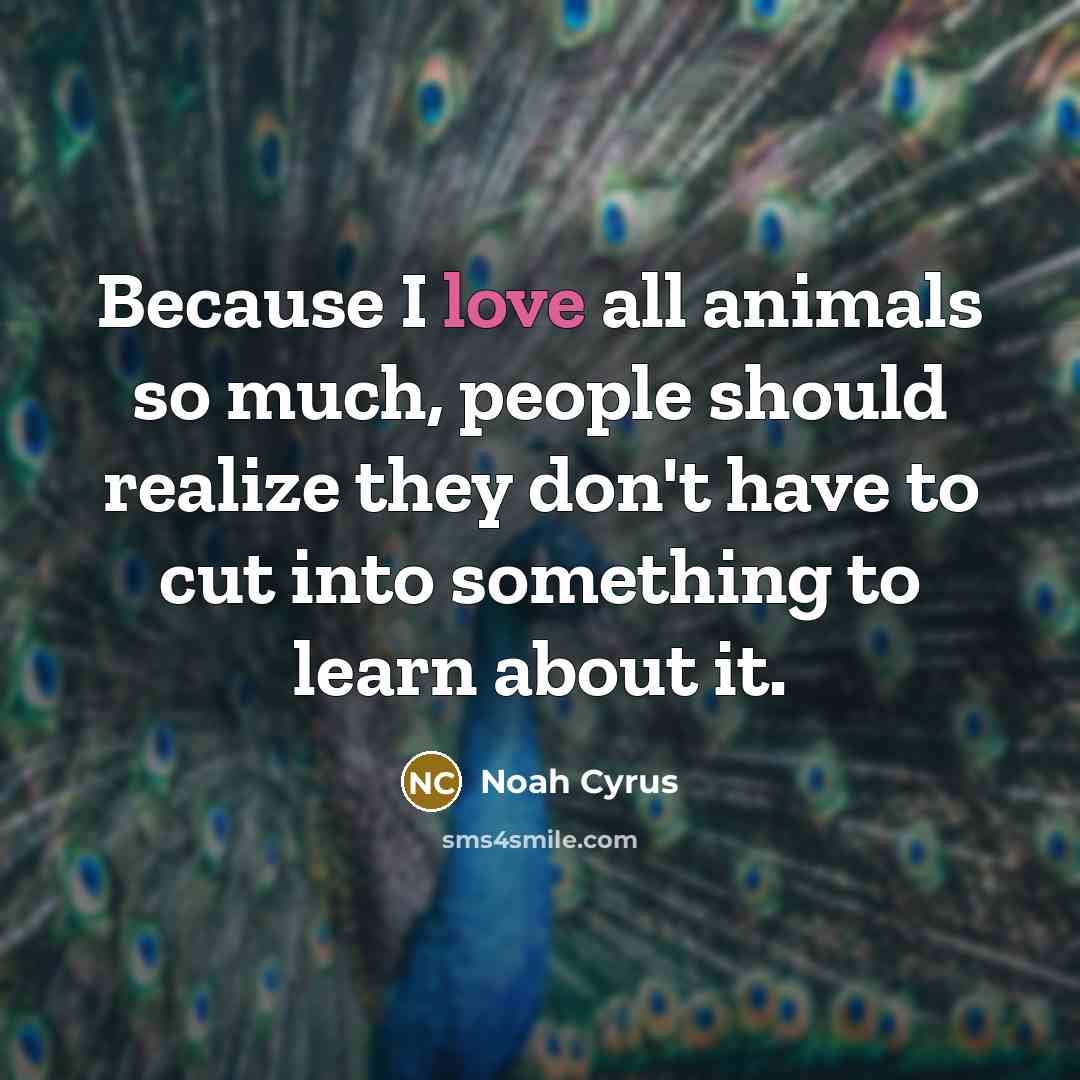 “Because I love all animals so much, people should realize…” quote by Noah Cyrus