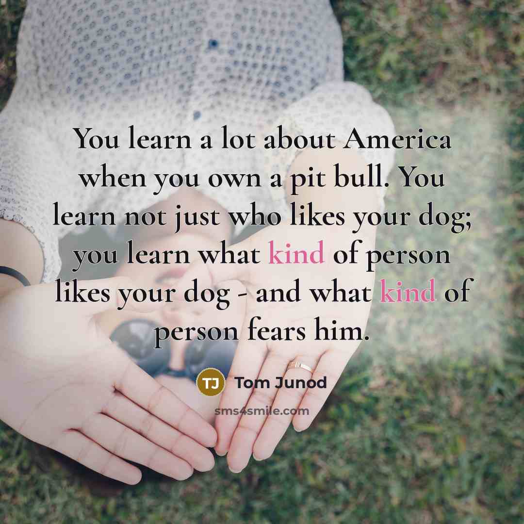 “You learn a lot about America when you own a…” quote by Tom Junod