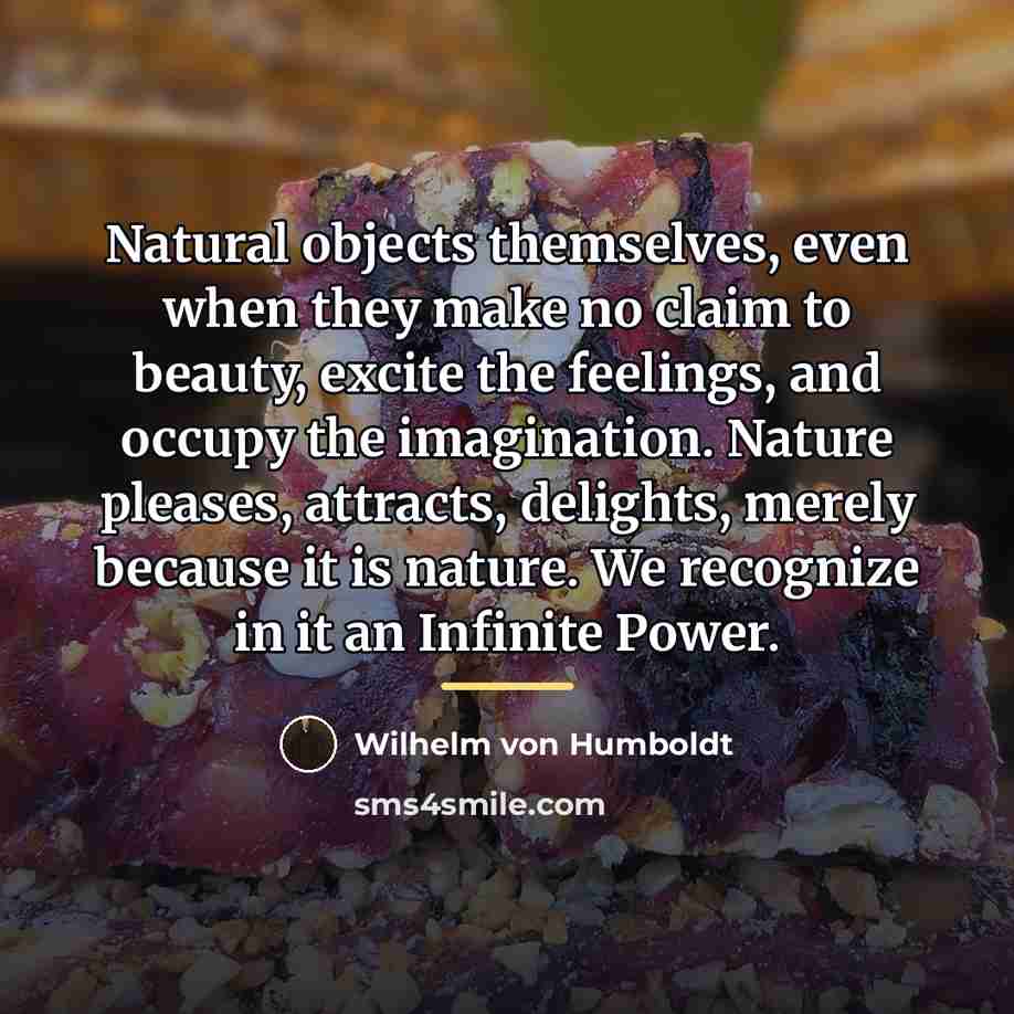 “Natural objects themselves, even when they make no claim to…” quote by Wilhelm von Humboldt
