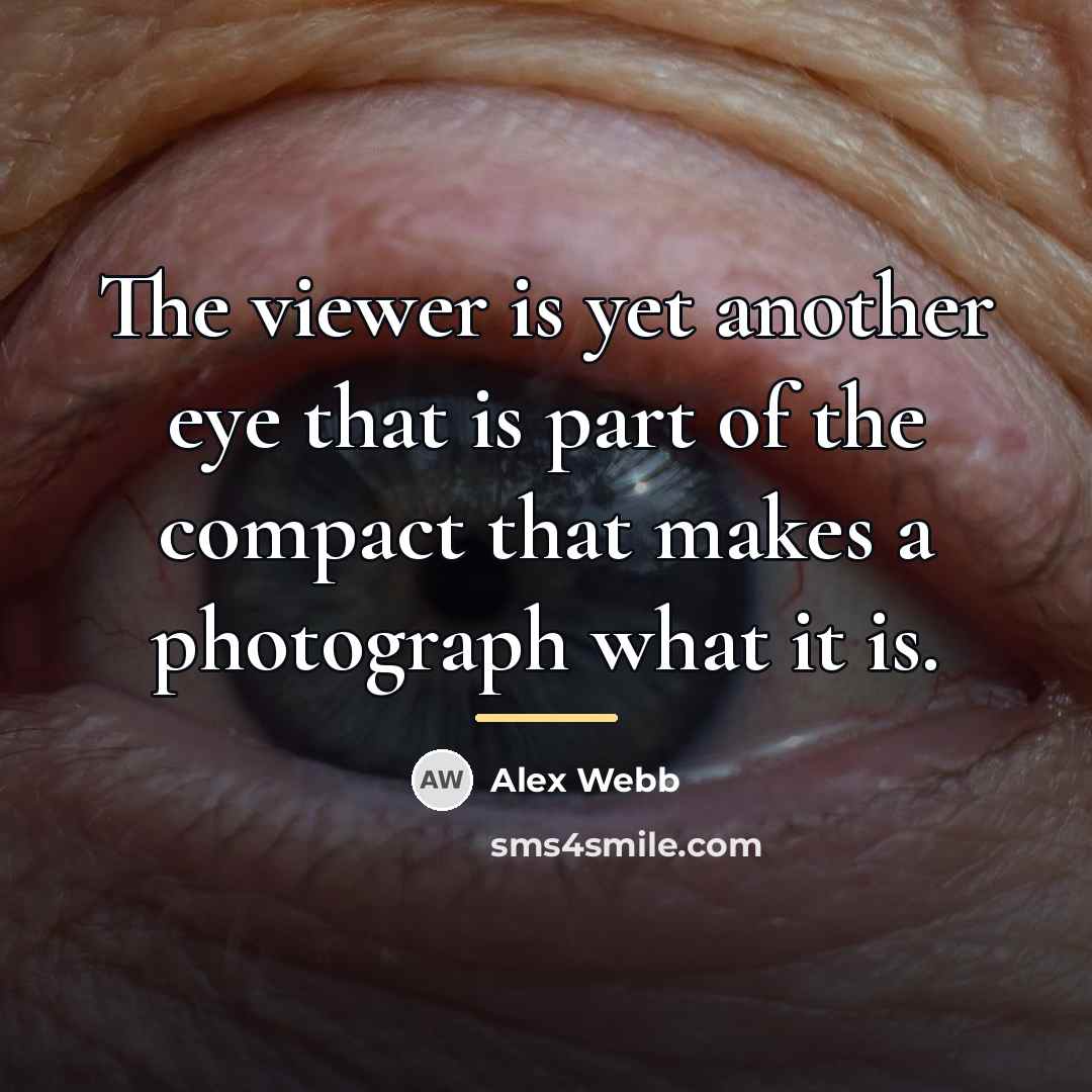“The viewer is yet another eye that is part of…” quote by Alex Webb