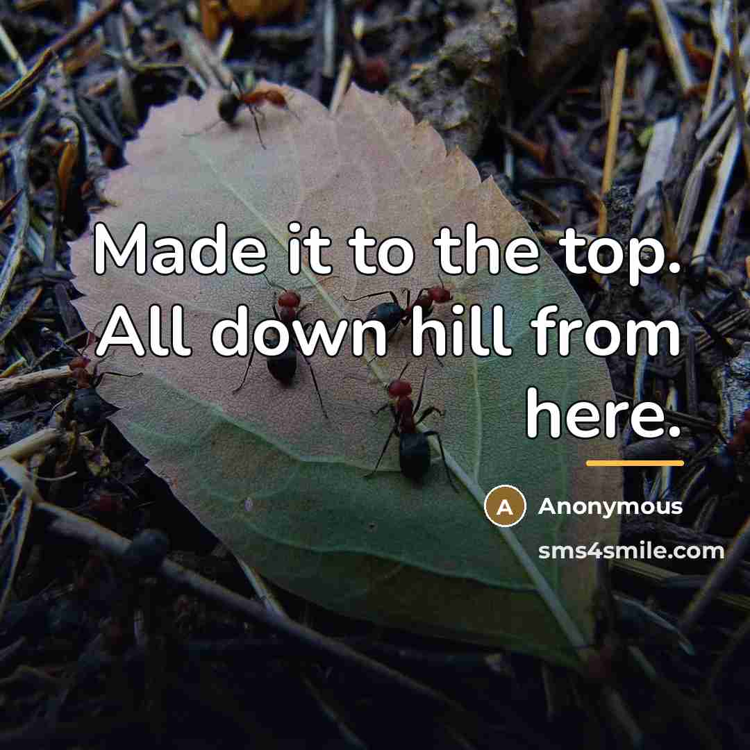 “Made it to the top. All down hill from here.…” quote by Anonymous