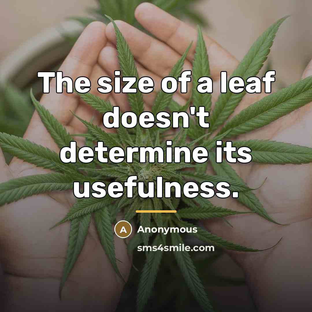 “The size of a leaf doesn't determine its usefulness.…” quote by Anonymous