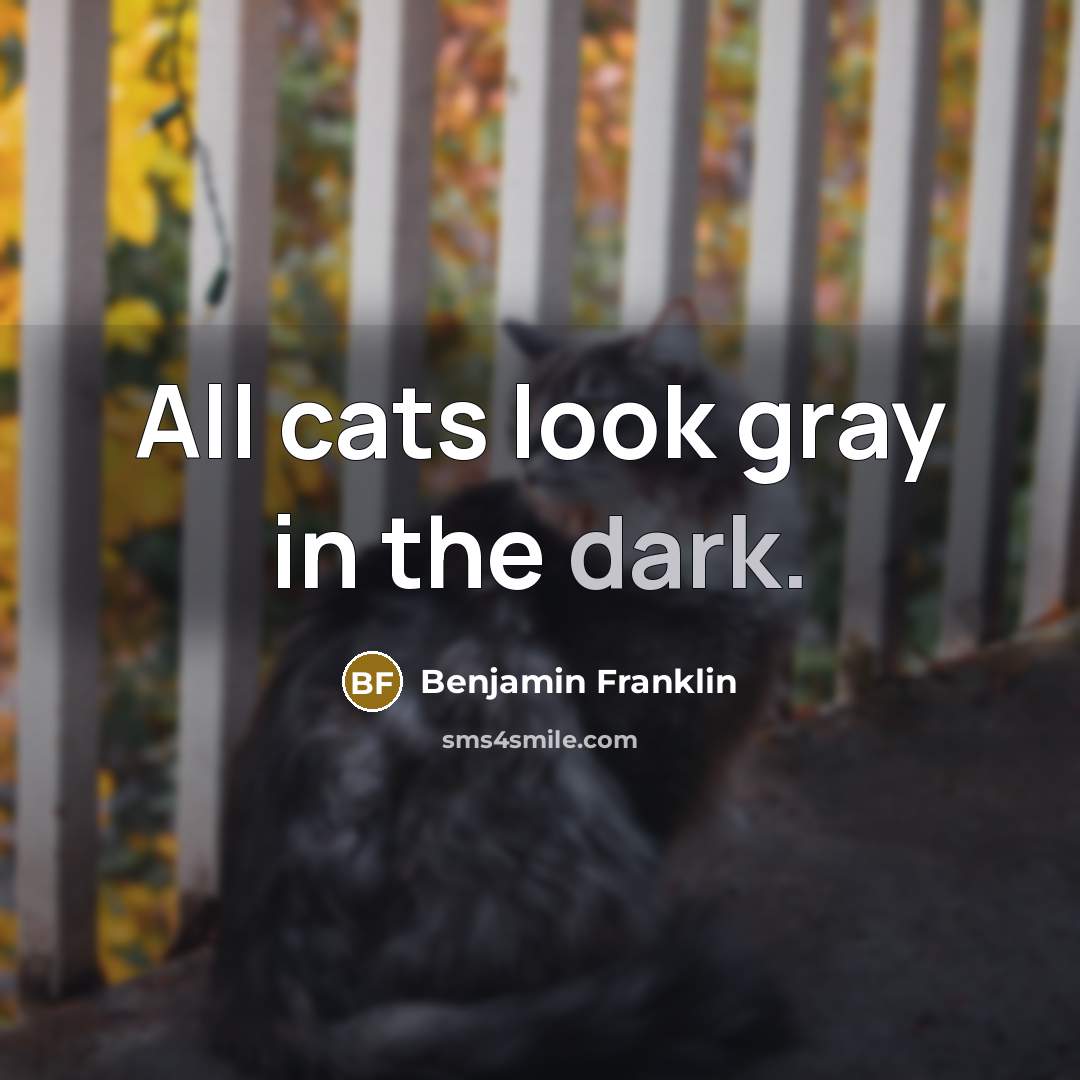 “All cats look gray in the dark.…” quote by Benjamin Franklin