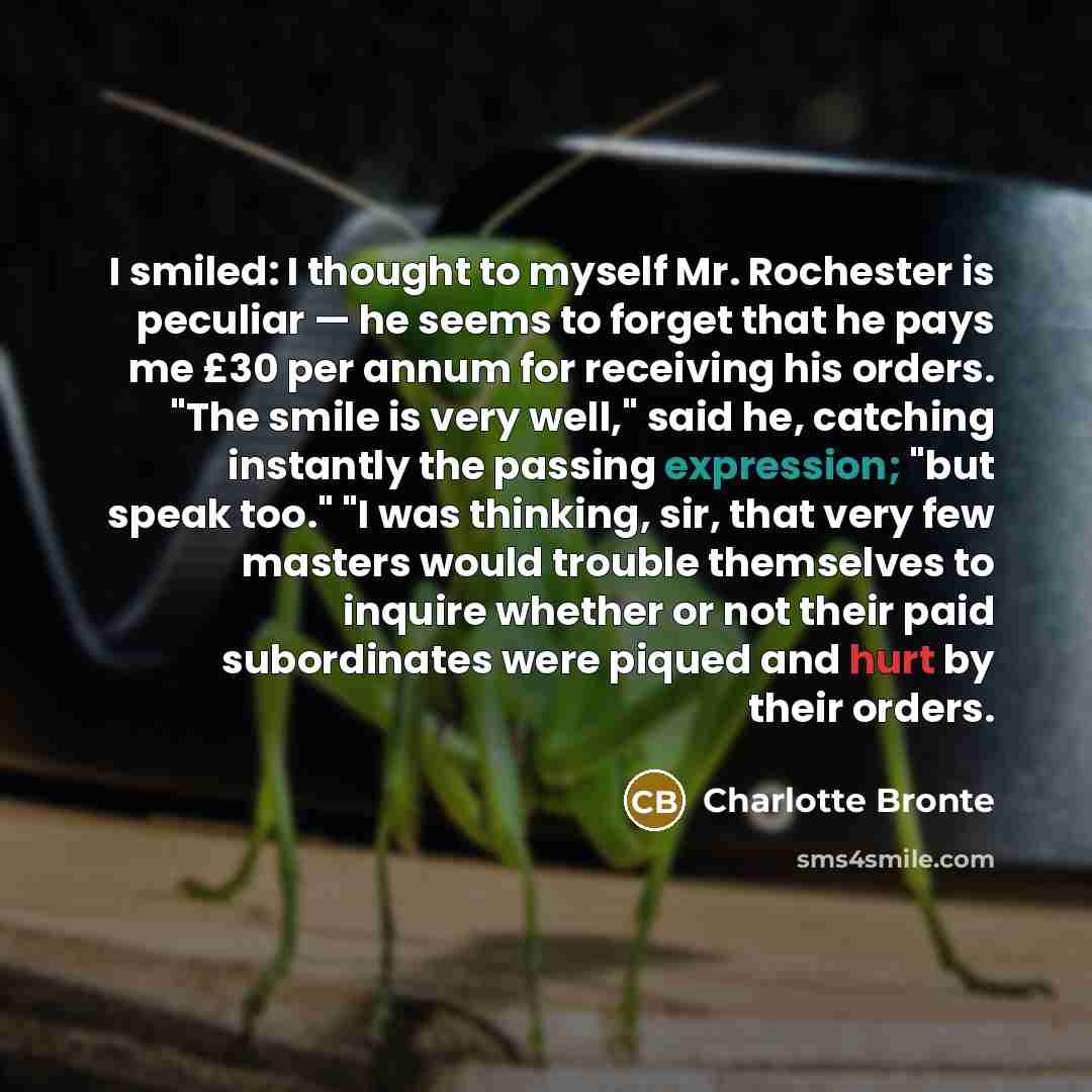 “I smiled: I thought to myself Mr. Rochester is peculiar…” quote by Charlotte Bronte