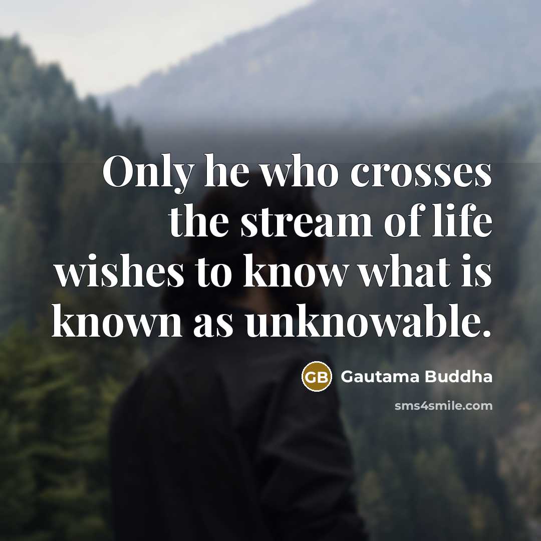 “Only he who crosses the stream of life wishes to…” quote by Gautama Buddha