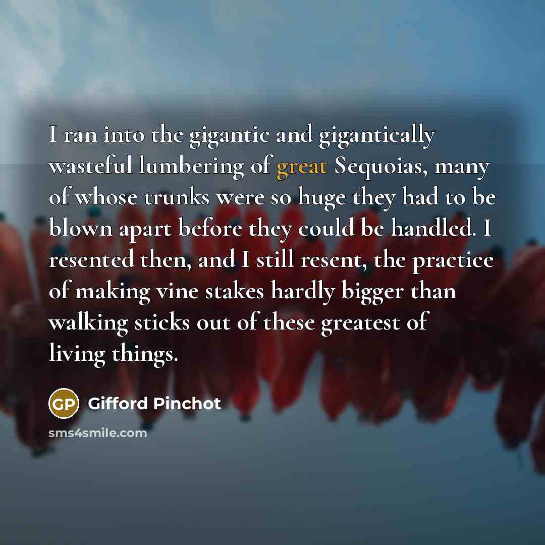 “I ran into the gigantic and gigantically wasteful lumbering of…” quote by Gifford Pinchot
