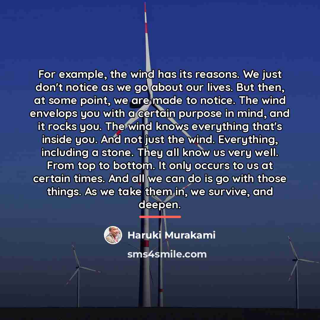 “For example, the wind has its reasons. We just don't…” quote by Haruki Murakami