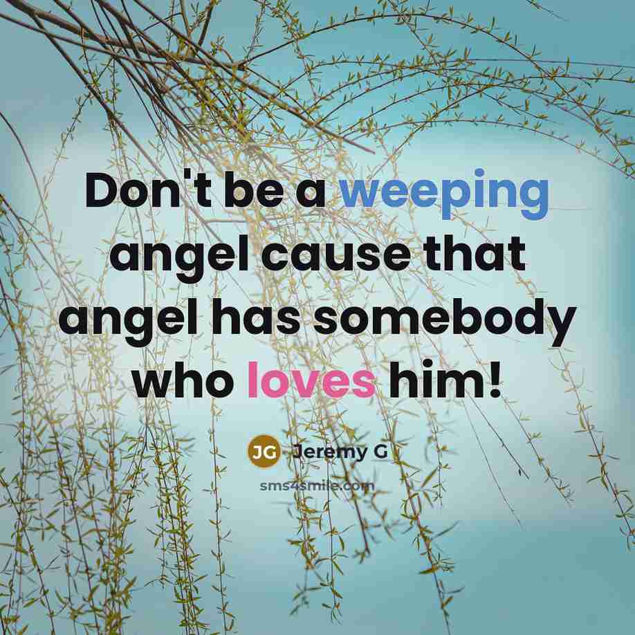“Don't be a weeping angel cause that angel has somebody who loves him!” quote by Jeremy G