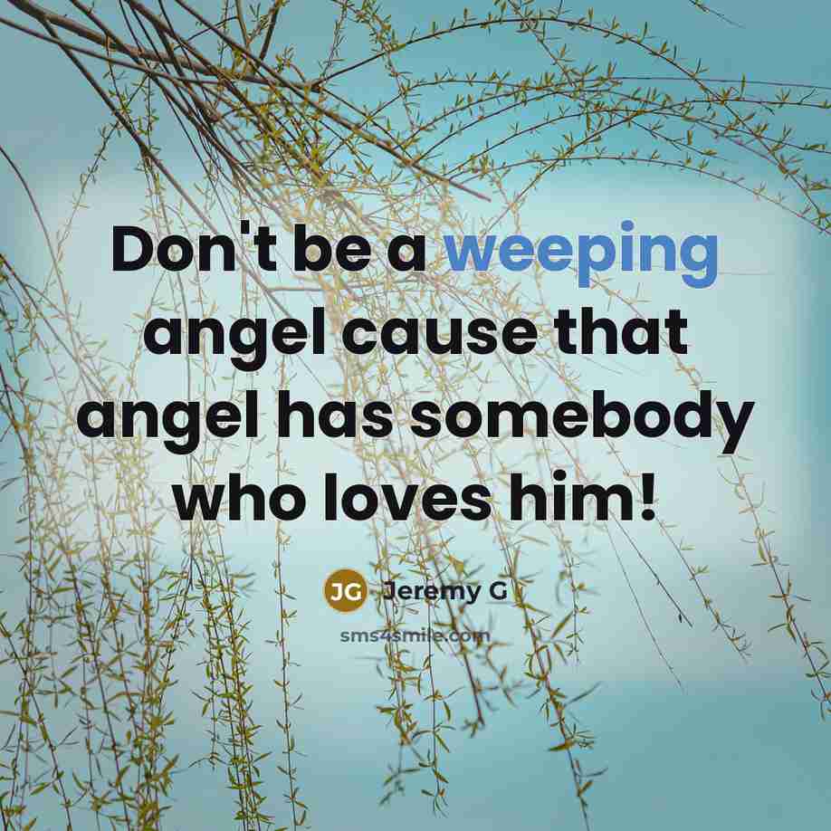 “Don't be a weeping angel cause that angel has somebody…” quote by Jeremy G