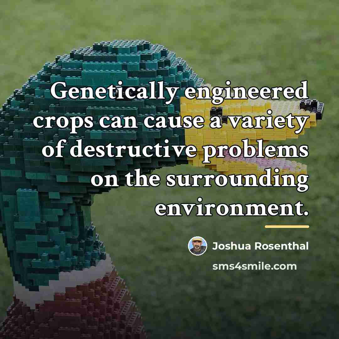 “Genetically engineered crops can cause a variety of destructive problems…” quote by Joshua Rosenthal