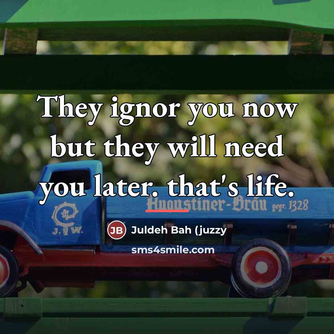 “They ignor you now but they will need you later.…” quote by Anonymous