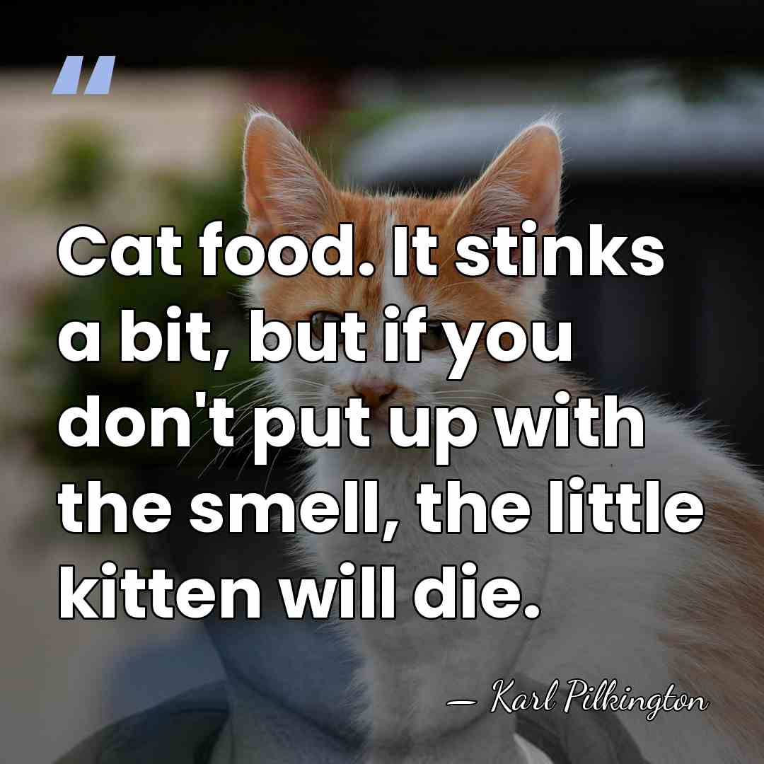 Cat food. It stinks a bit, but if you don't put up&hellip; - Karl Pilkington