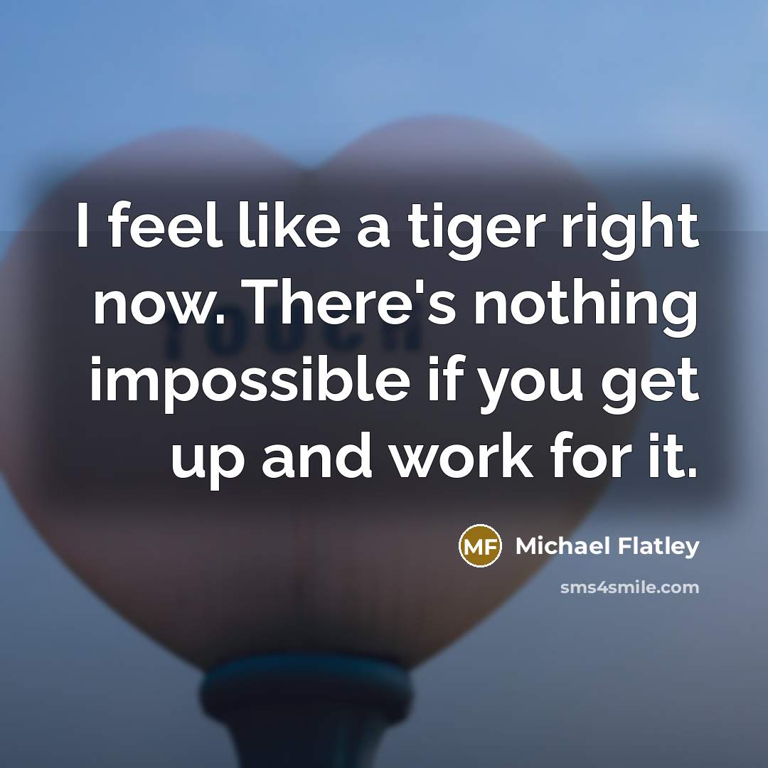 “I feel like a tiger right now. There's nothing impossible if you get up and work for it.” quote by Michael Flatley