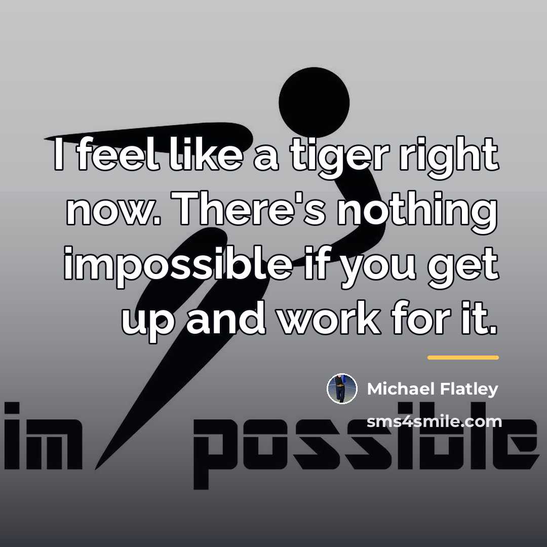 “I feel like a tiger right now. There's nothing impossible…” quote by Michael Flatley