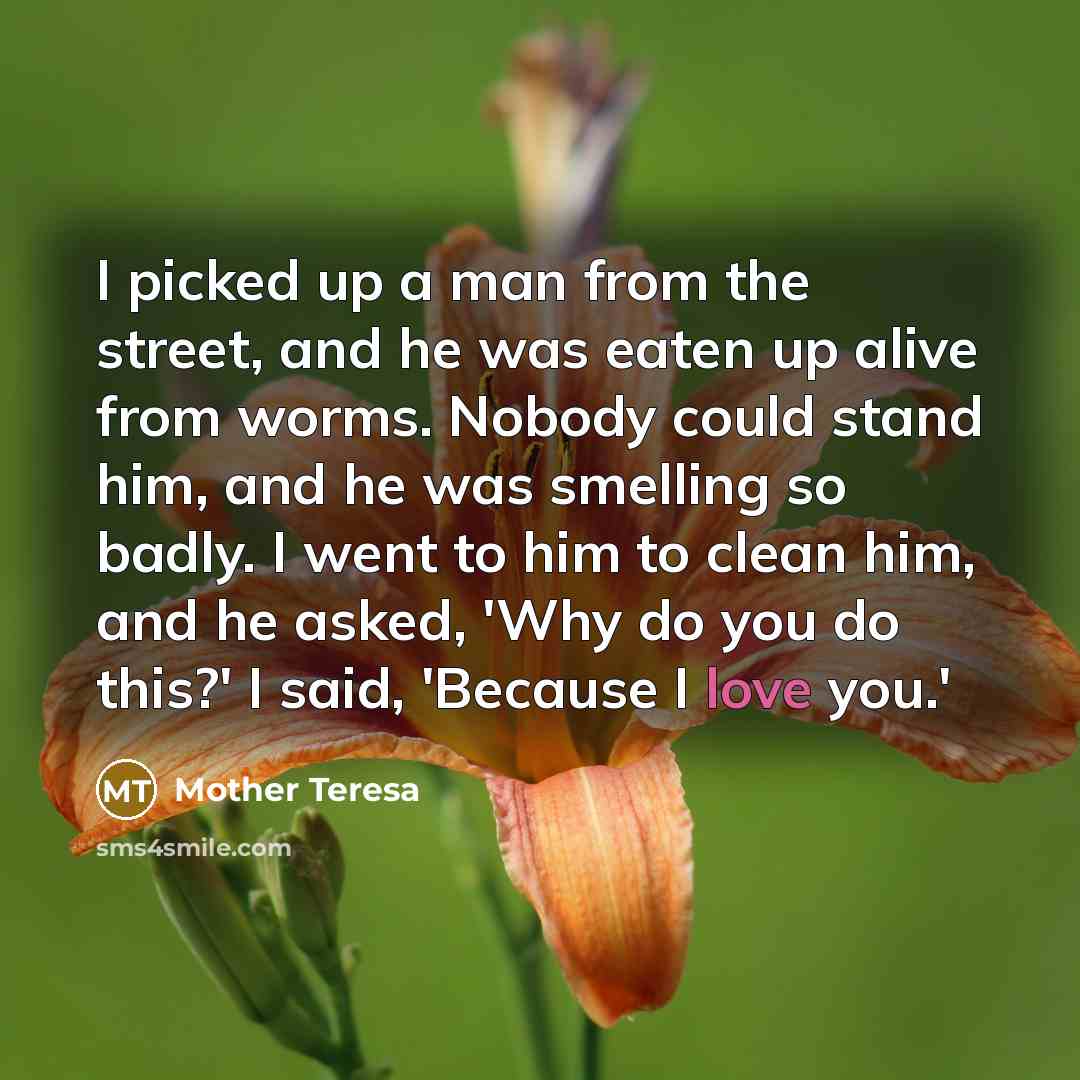 “I picked up a man from the street, and he…” quote by Mother Teresa