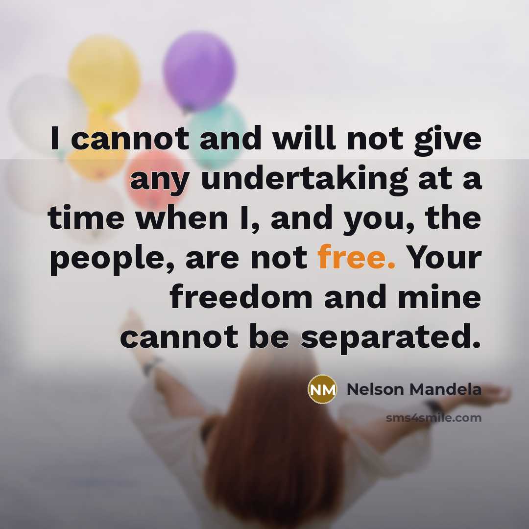 “I cannot and will not give any undertaking at a…” quote by Nelson Mandela