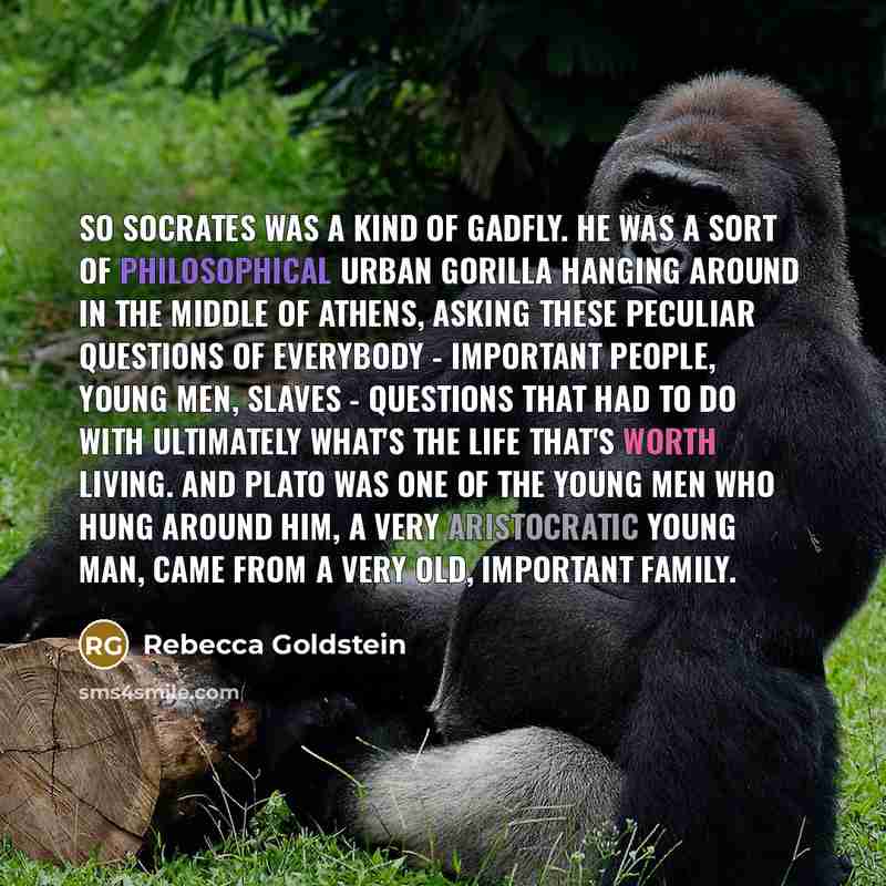 “So Socrates was a kind of gadfly. He was a…” quote by Rebecca Goldstein