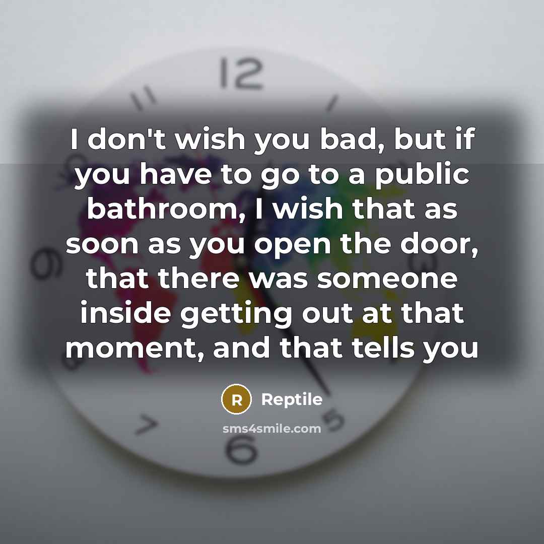 “I don't wish you bad, but if you have to go to a public bathroom, I wish that as soon as you open the door, that there was someone inside getting out at that moment, and that tells you” quote by Reptile