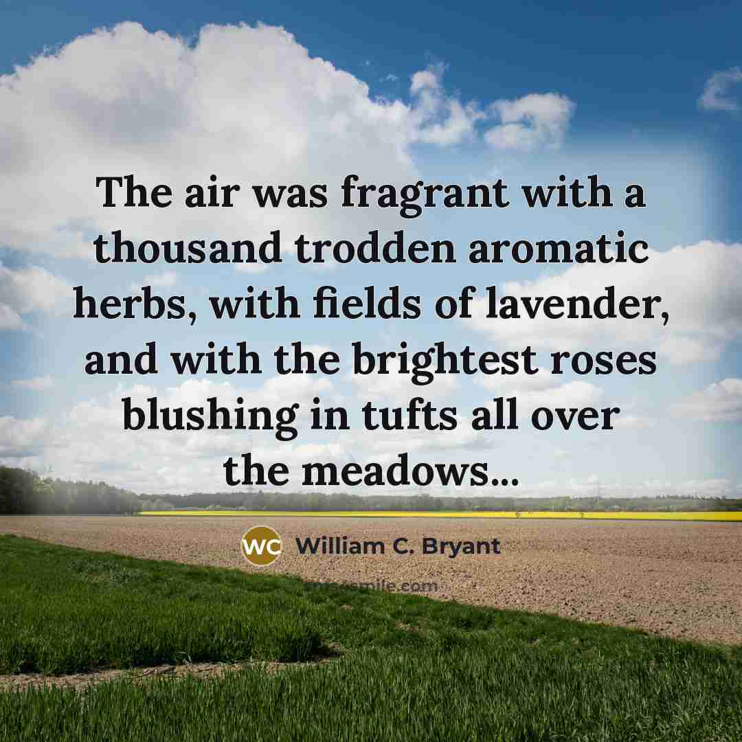 “The air was fragrant with a thousand trodden aromatic herbs,…” quote by William C. Bryant