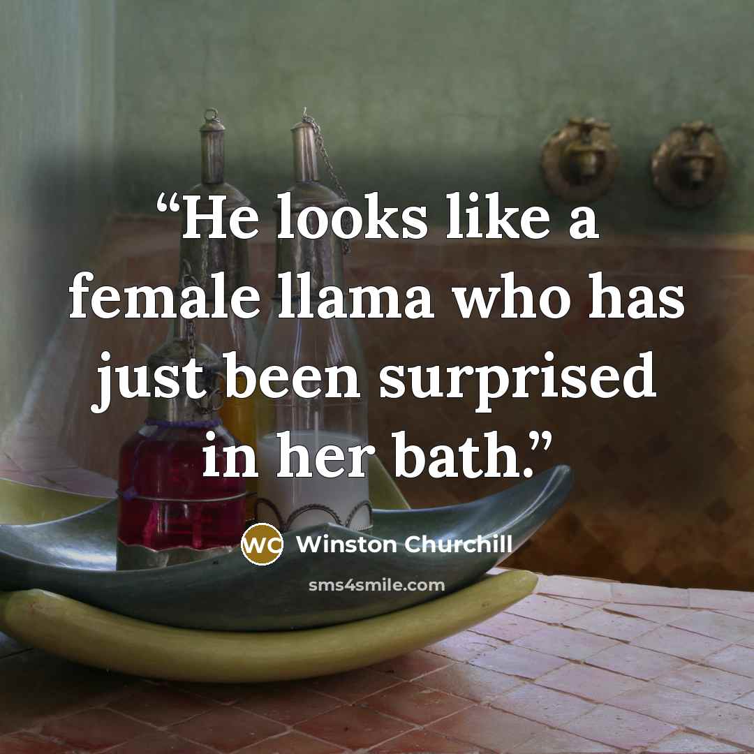 “He looks like a female llama who has just been surprised in her bath.” quote by Winston Churchill