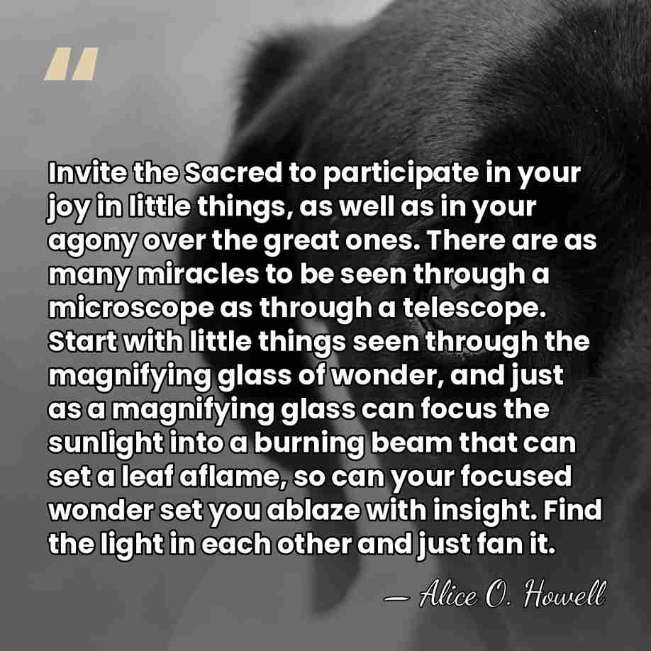 Invite the Sacred to participate in your joy in little things, as&hellip; - Alice O. Howell