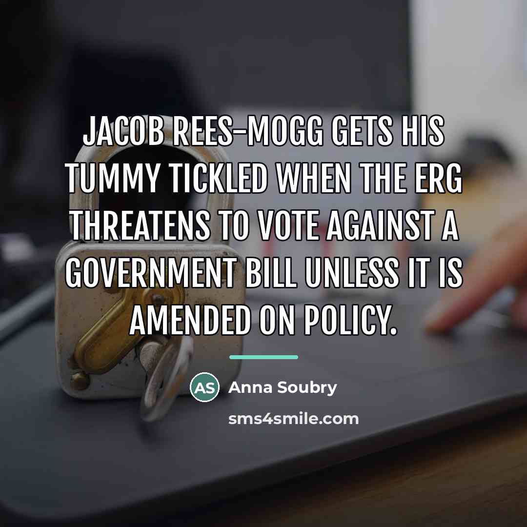 “Jacob Rees-Mogg gets his tummy tickled when the ERG threatens…” quote by Anna Soubry