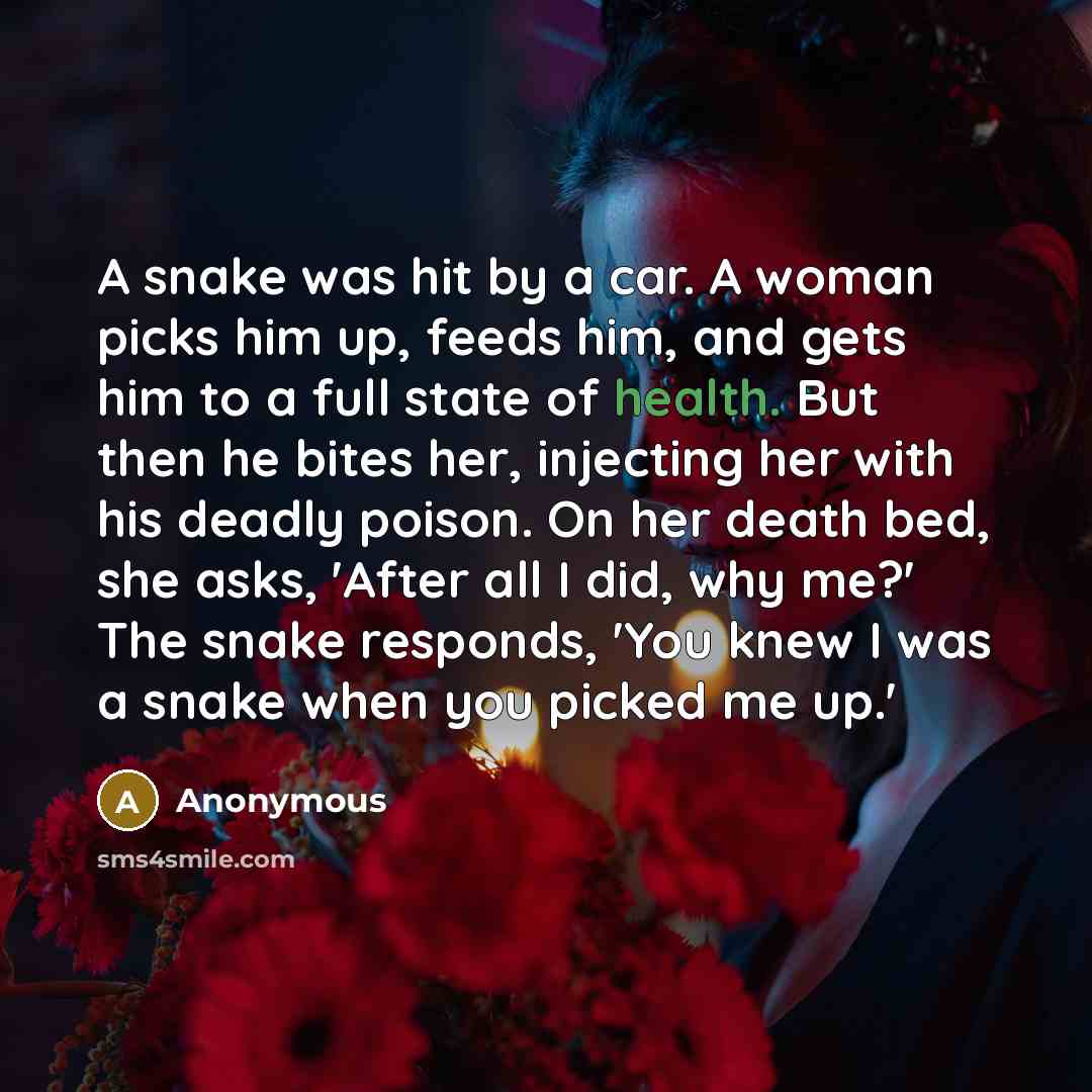 “A snake was hit by a car. A woman picks…” quote by Anonymous