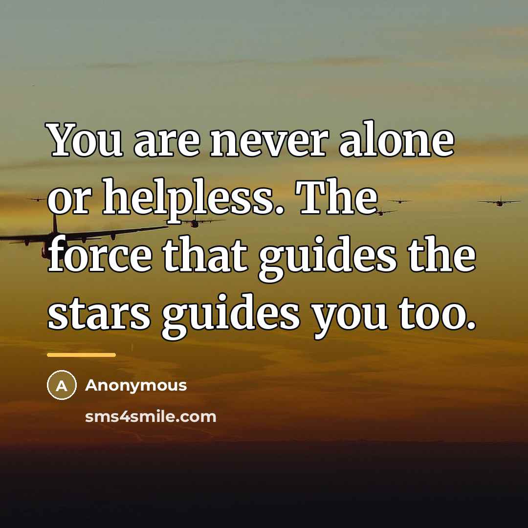 “You are never alone or helpless. The force that guides…” quote by Anonymous