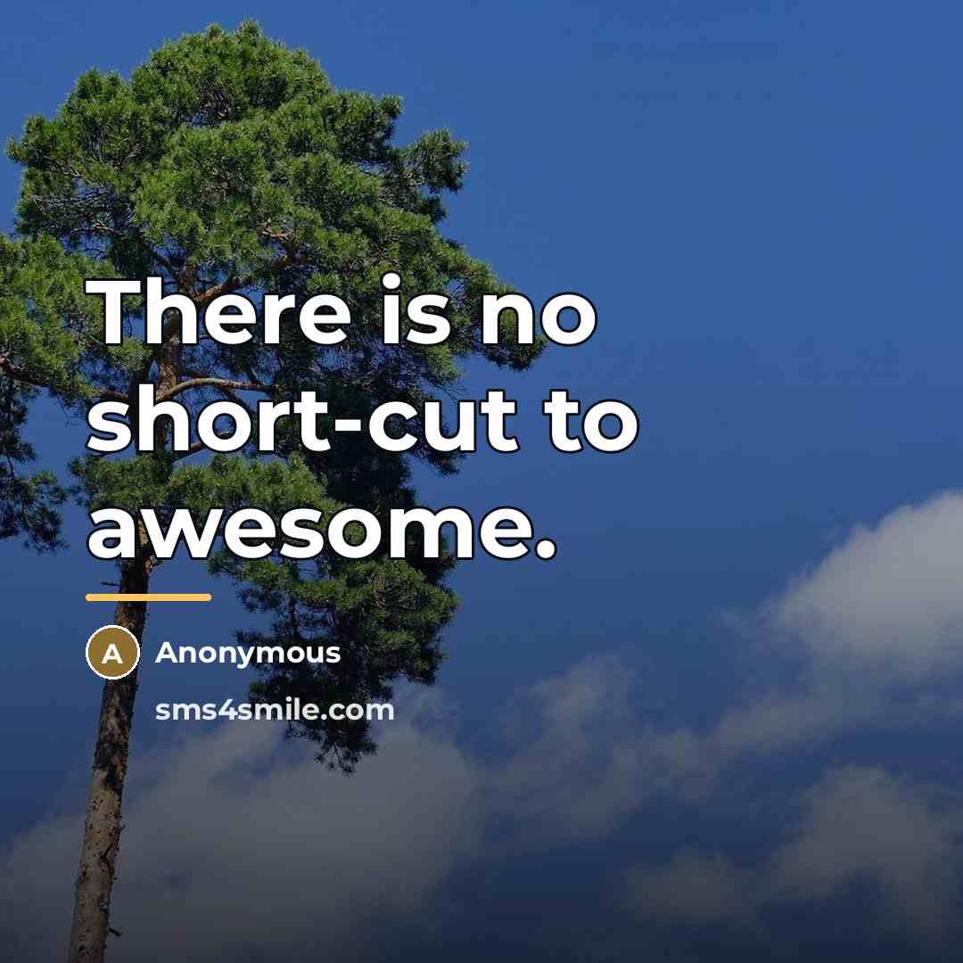 “There is no short-cut to awesome.…” quote by Anonymous